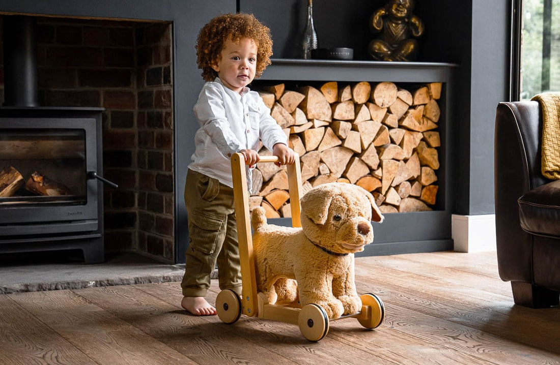 See our Baby Walkers in Action!