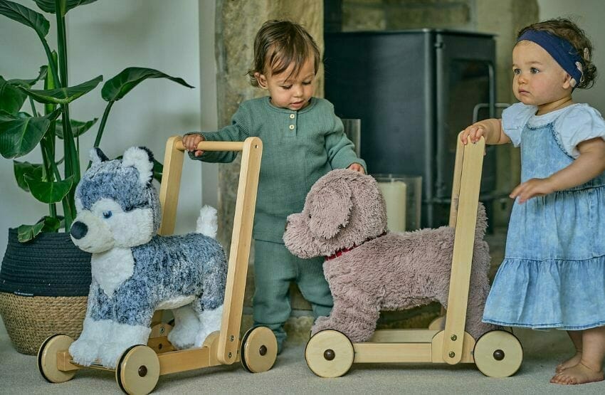 Benefits of Push Along Dog Baby Walkers