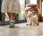 Lambert Sheep Pull Along Toy