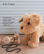 Dexter Dog Pull Along Toy