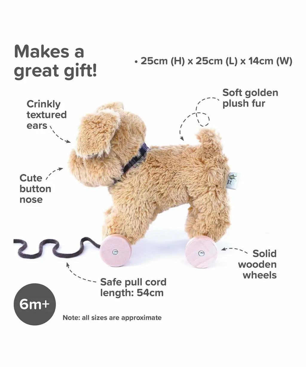 Dexter Dog Pull Along Toy