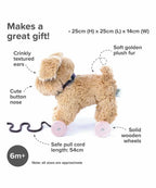 Dexter Dog Pull Along Toy