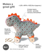 Digley Dinosaur Pull Along Toy