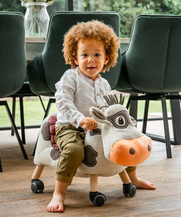 Ride On Toys