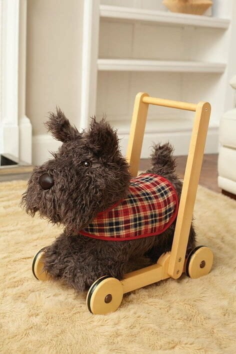 Dog Coat for Baby Walkers
