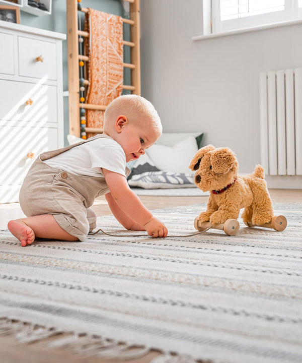 Pull Along Toys