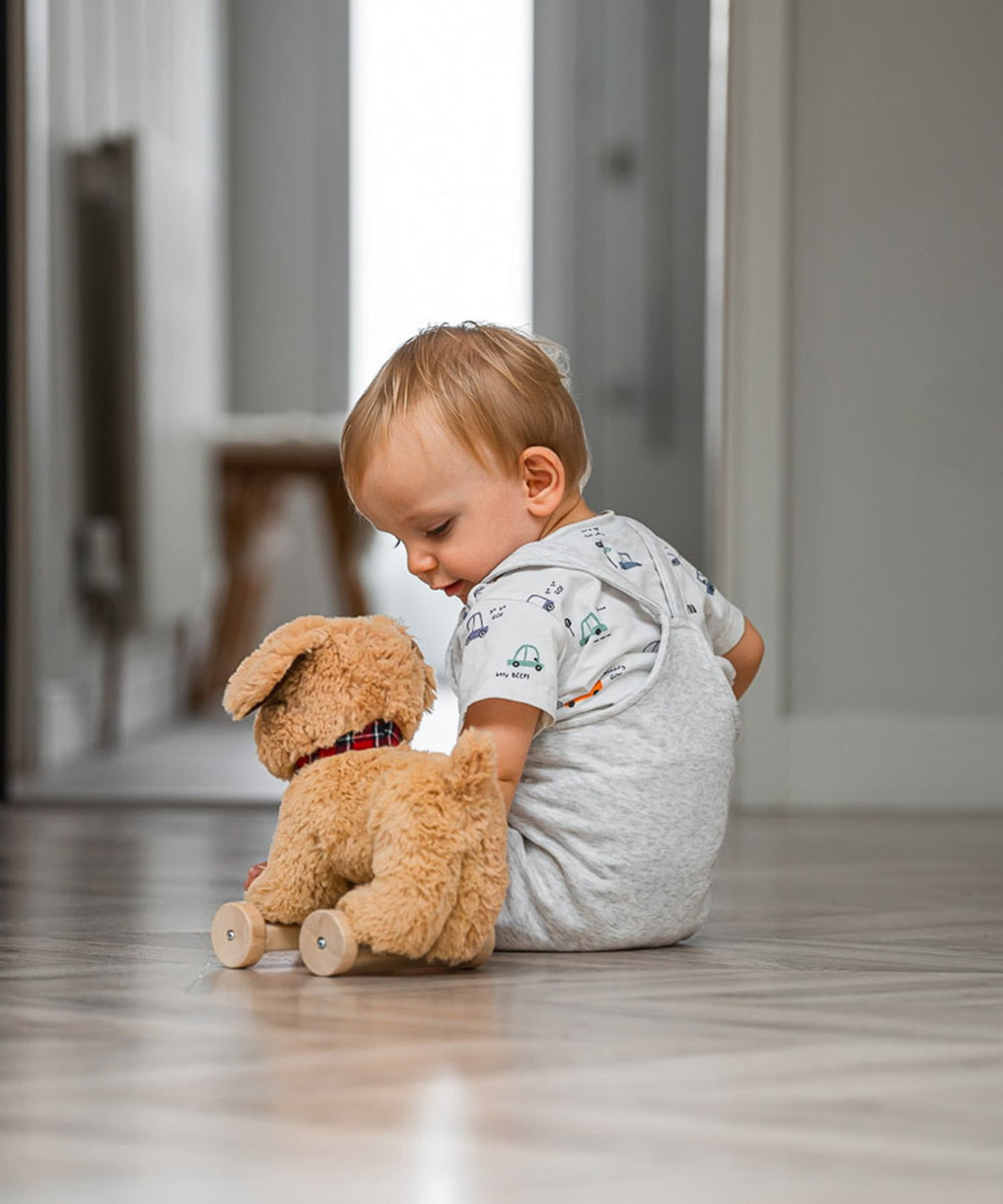 Dexter Dog Pull Along Toy