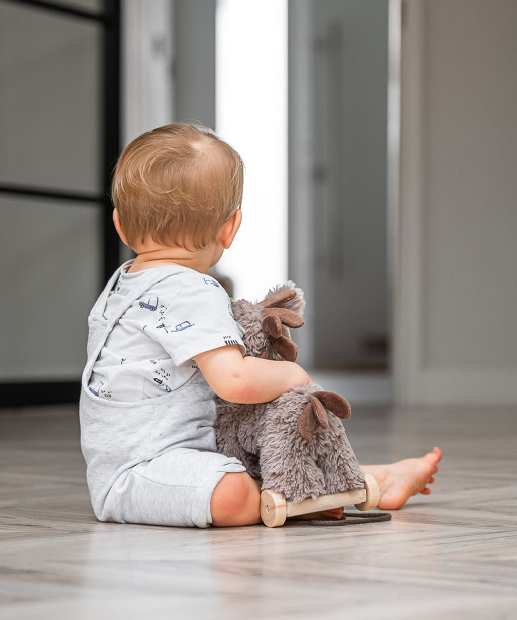 Norbert Donkey Pull Along Toy