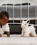 Lambert Sheep Pull Along Toy