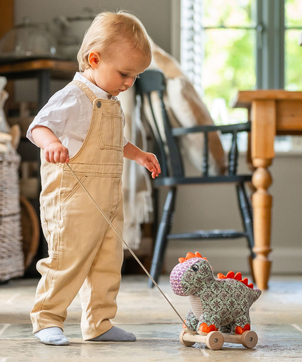Digley Dinosaur Pull Along Toy