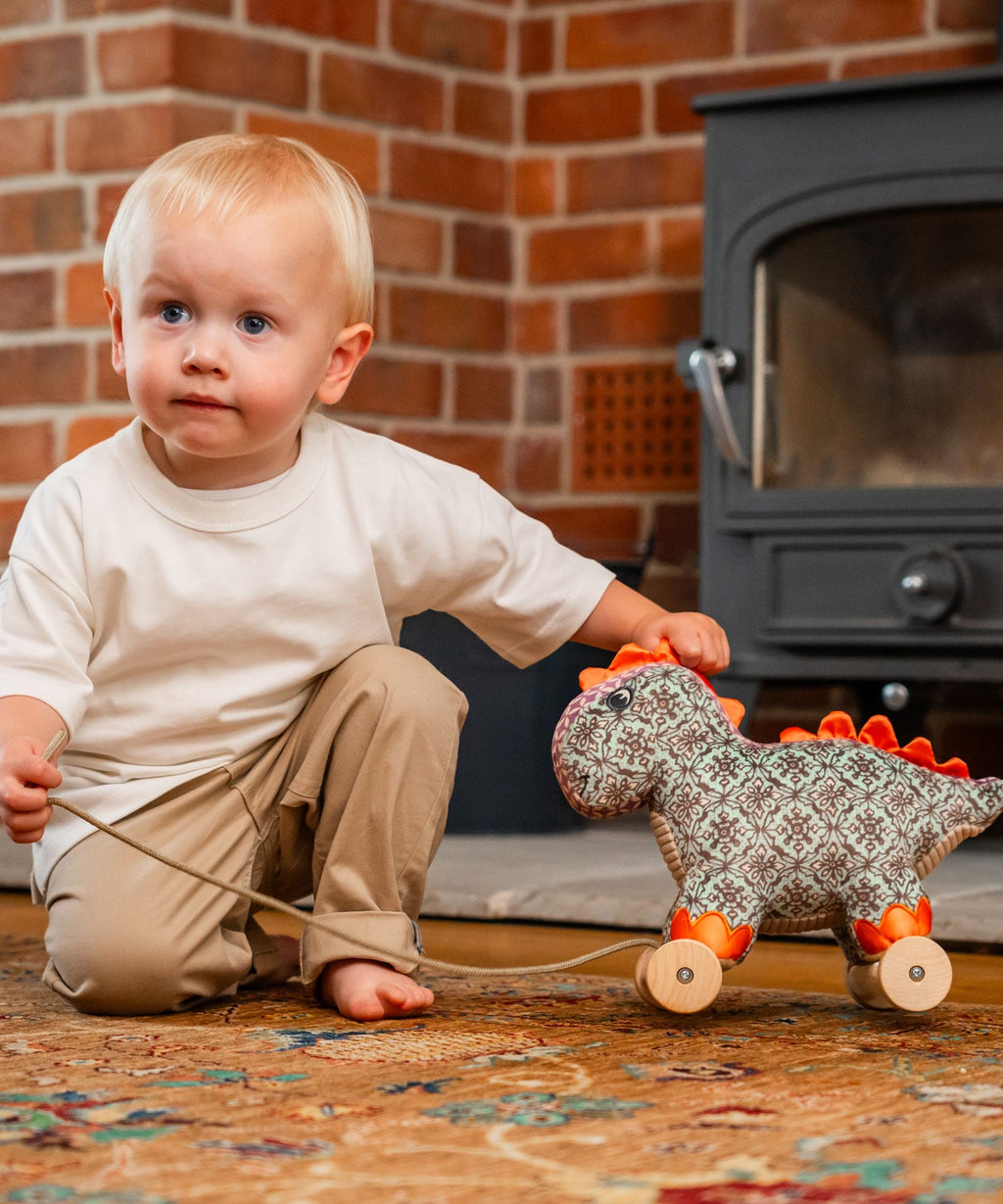 Digley Dinosaur Pull Along Toy