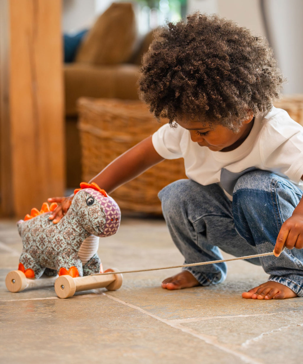 Digley Dinosaur Pull Along Toy