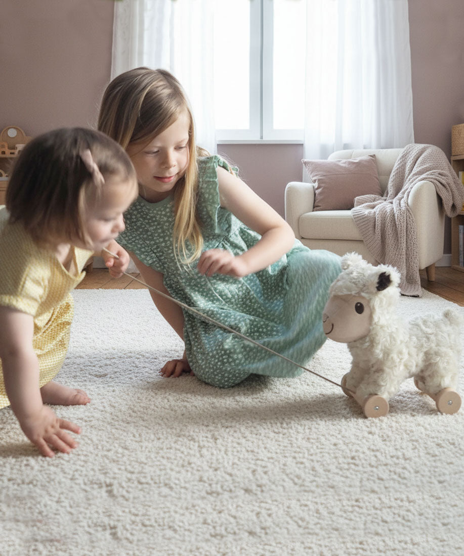 Lambert Sheep Pull Along Toy