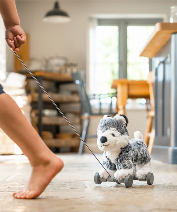 Mishka Dog Pull Along Toy