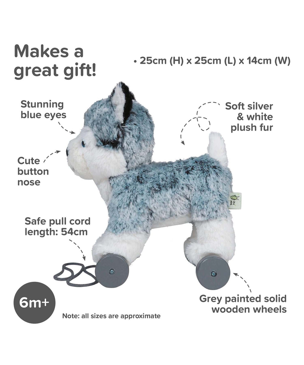 Mishka Dog Pull Along Toy