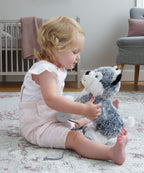 Mishka Dog Pull Along Toy