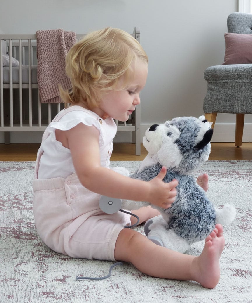 Mishka Dog Pull Along Toy