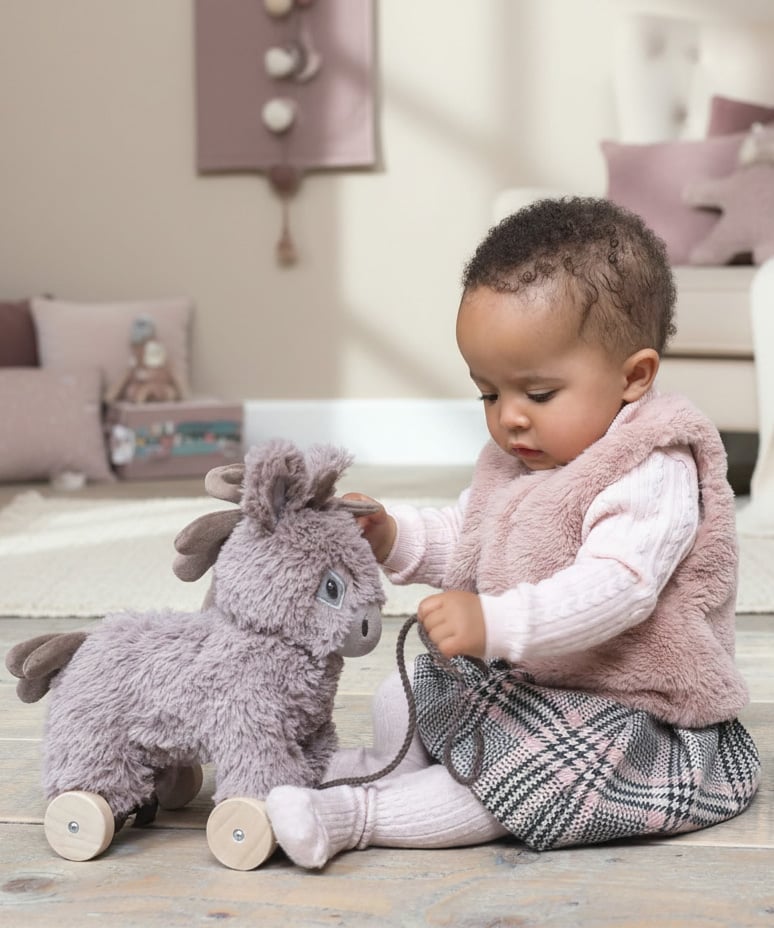 Norbert Donkey Pull Along Toy
