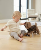 Percy Pup Pull Along Toy