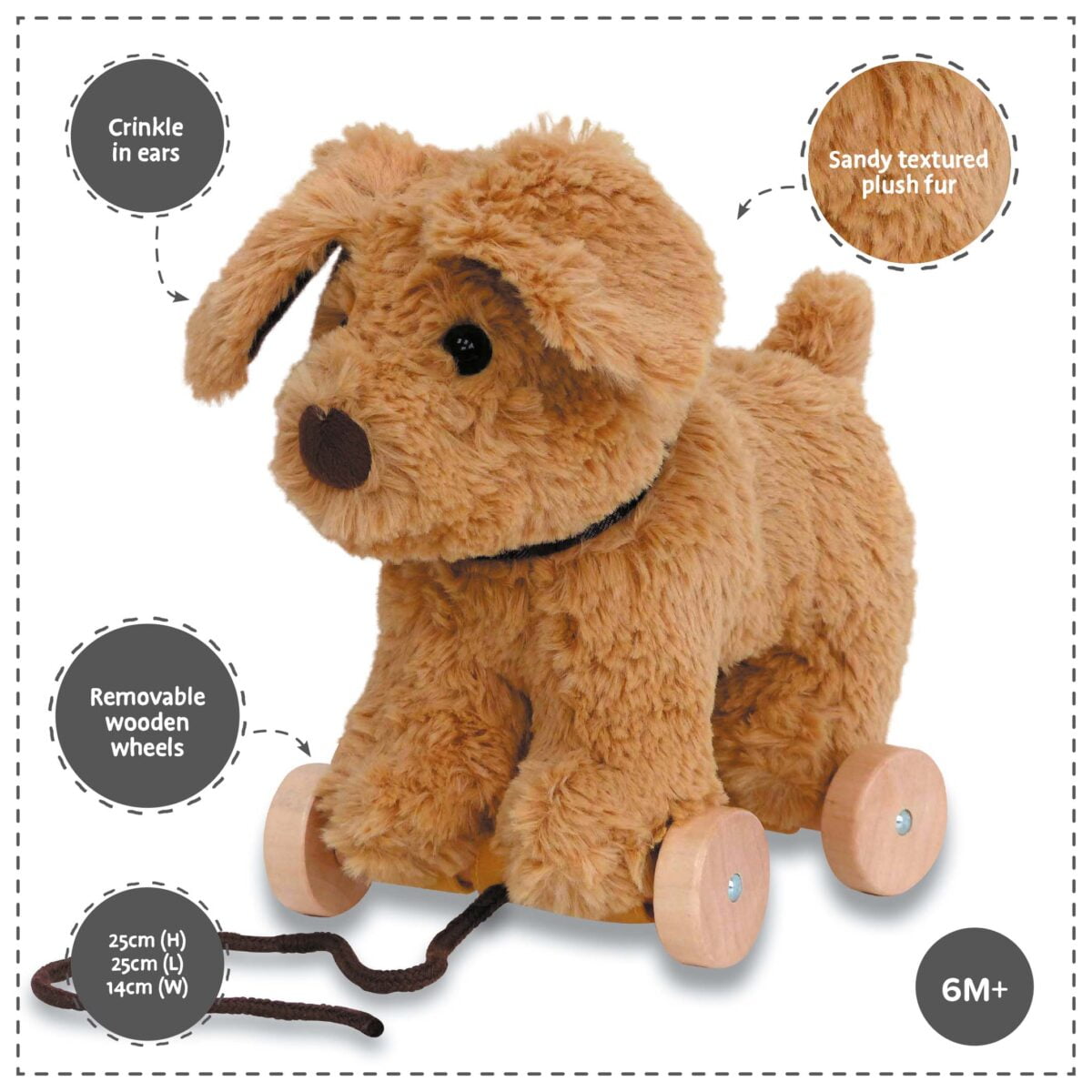 Features and benefits displayed for Dexter Dog Pull Along Toy