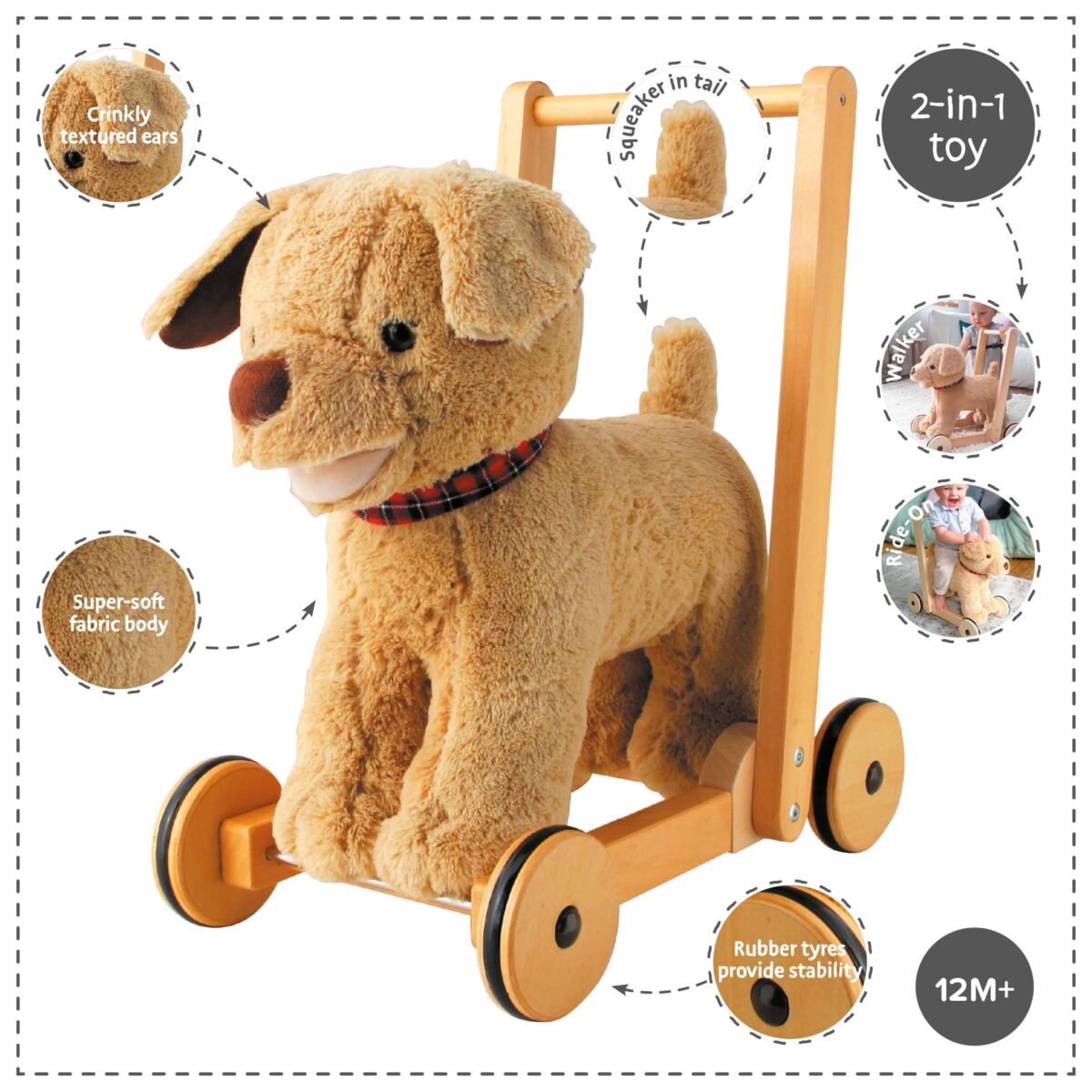 Features and benefits displayed for Dexter Dog Baby Walker