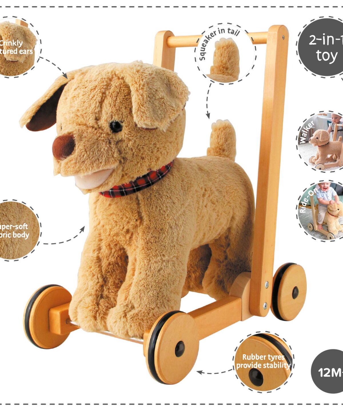 Features and benefits displayed for Dexter Dog Baby Walker