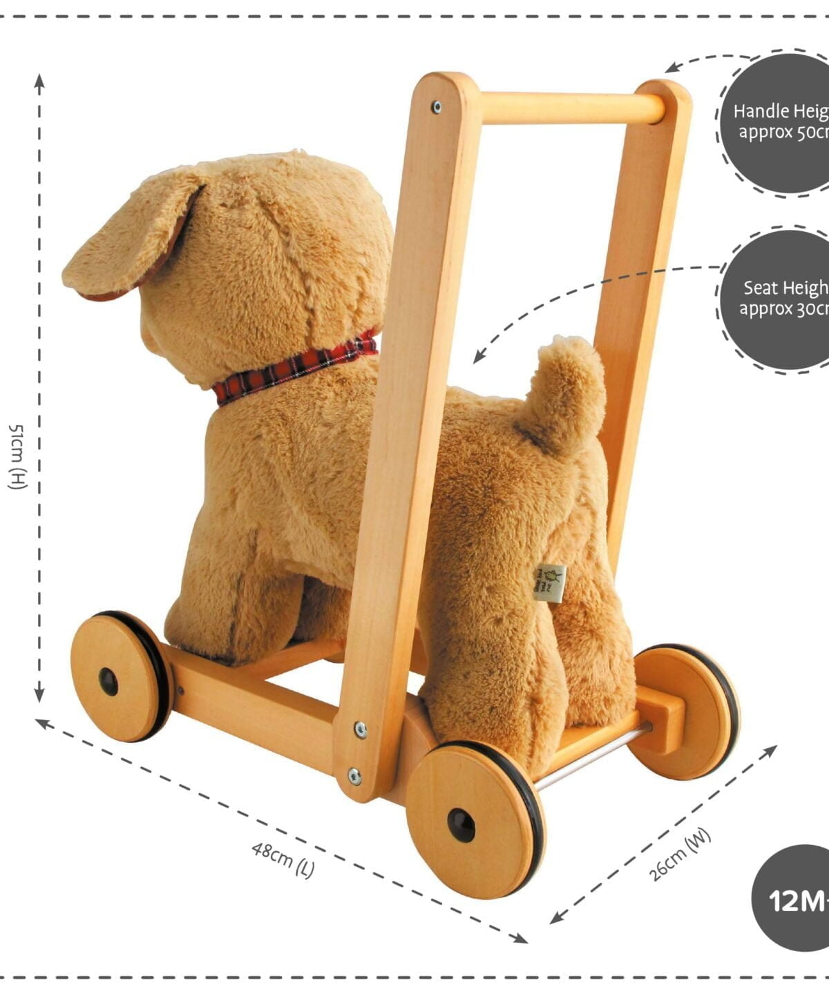 Product dimensions displayed for Dexter Dog Baby Walker