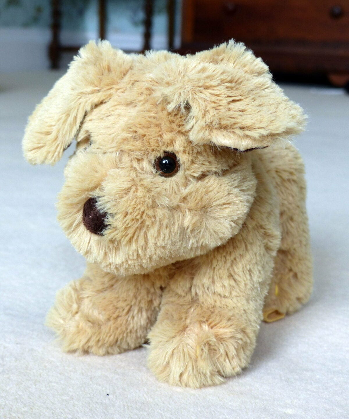 Plush Dexter Dog Pull Along Toy without wheels 