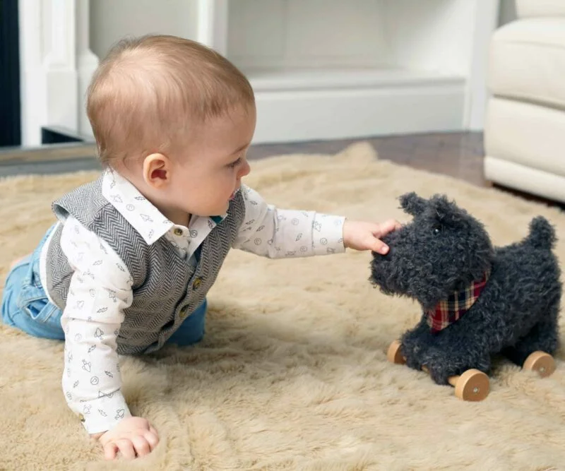 Baby boy playing with Scottie Dog Pull Along Toy 