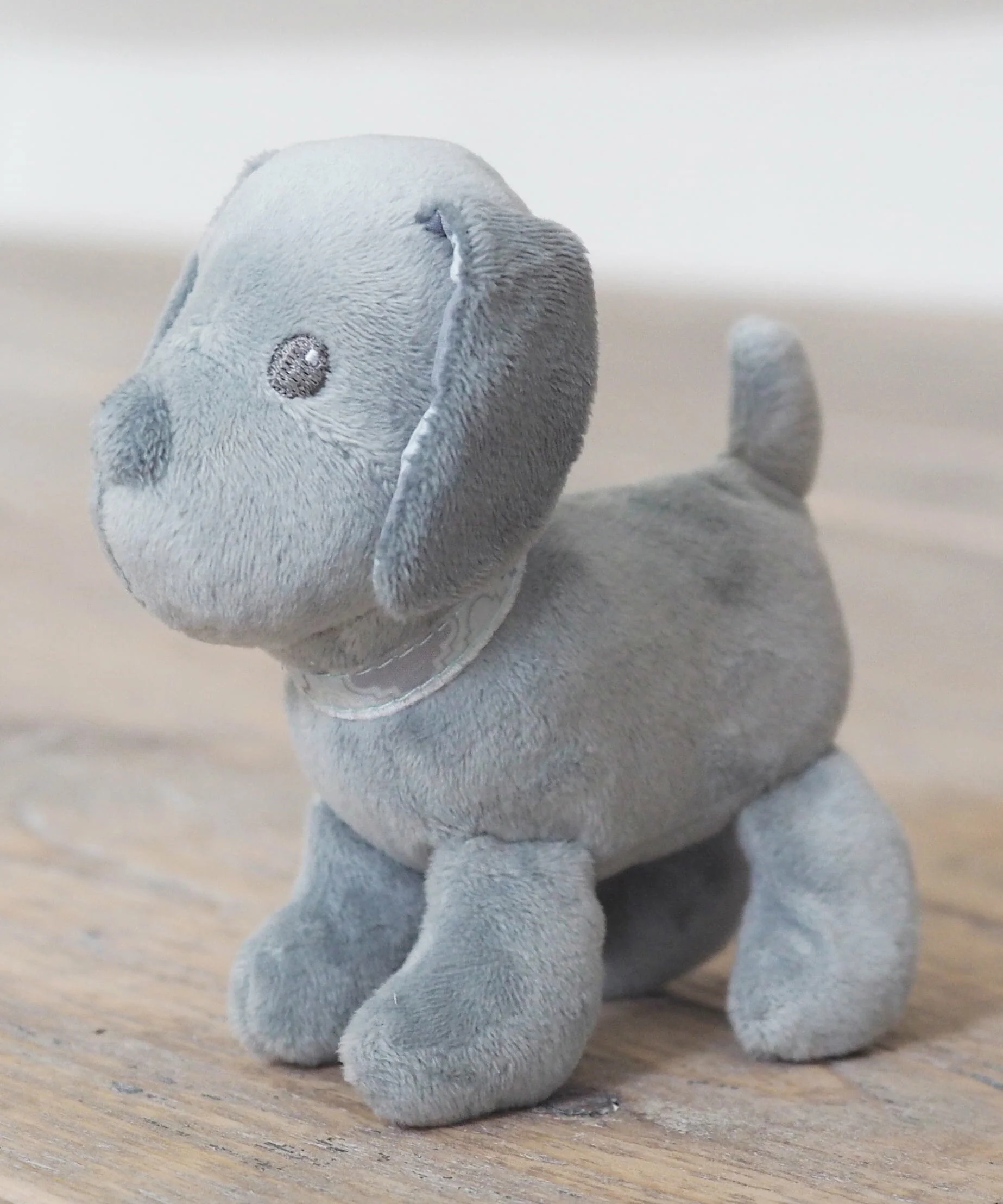 Little Chase Pup standing on wooden floor