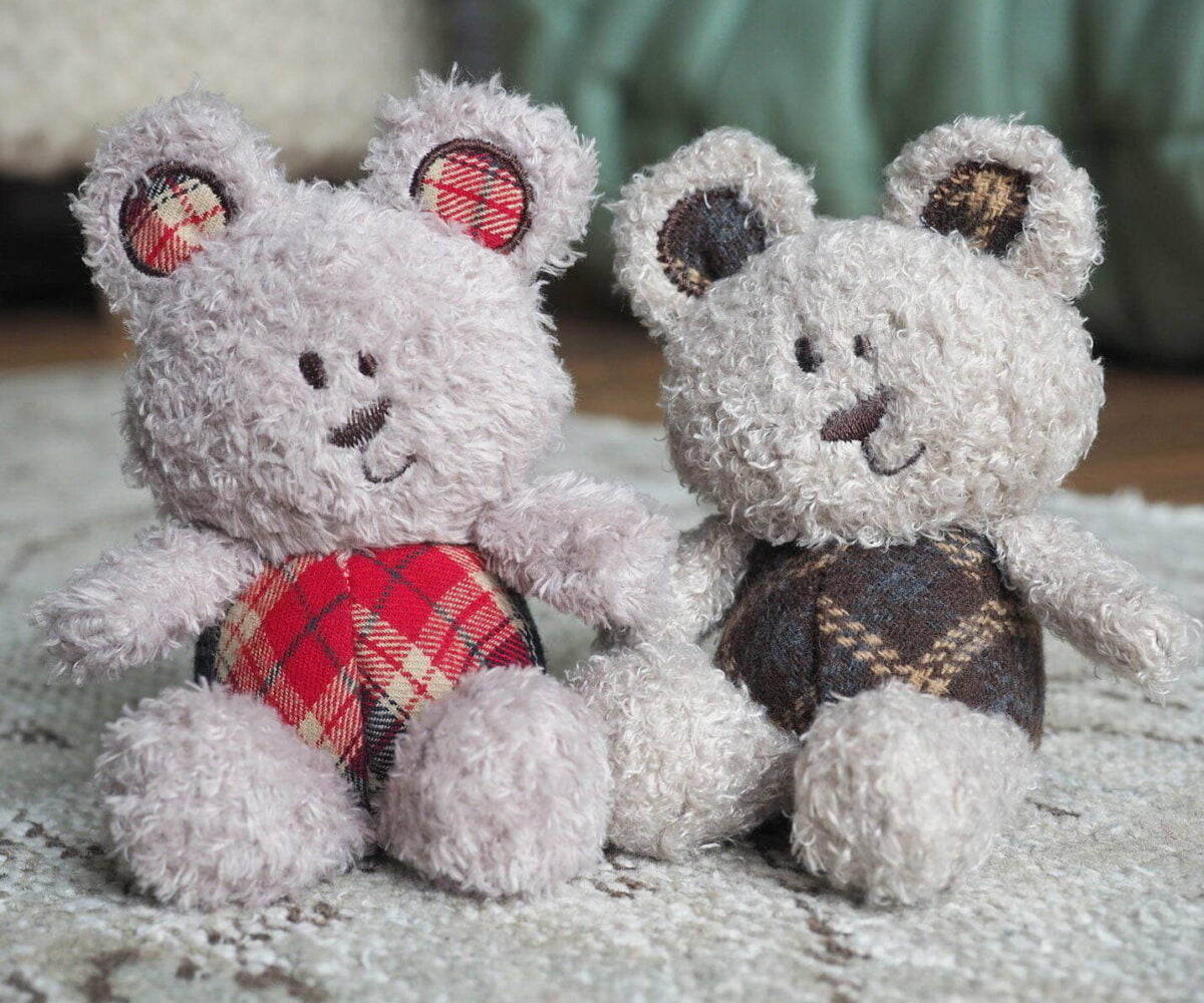 Little Ted and Little Red Bears sitting together on a rug