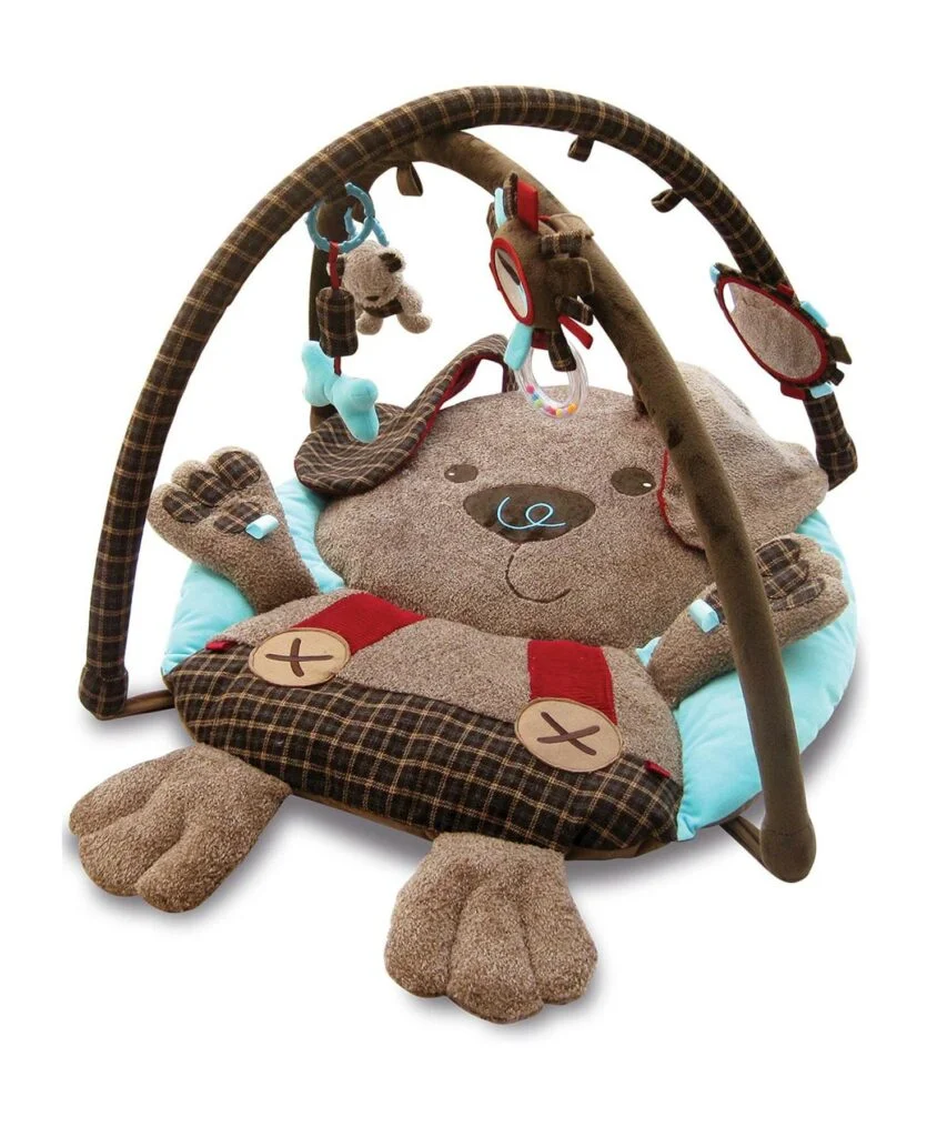 Percy Pup Multi-Activity Playgym cut out angled shot 