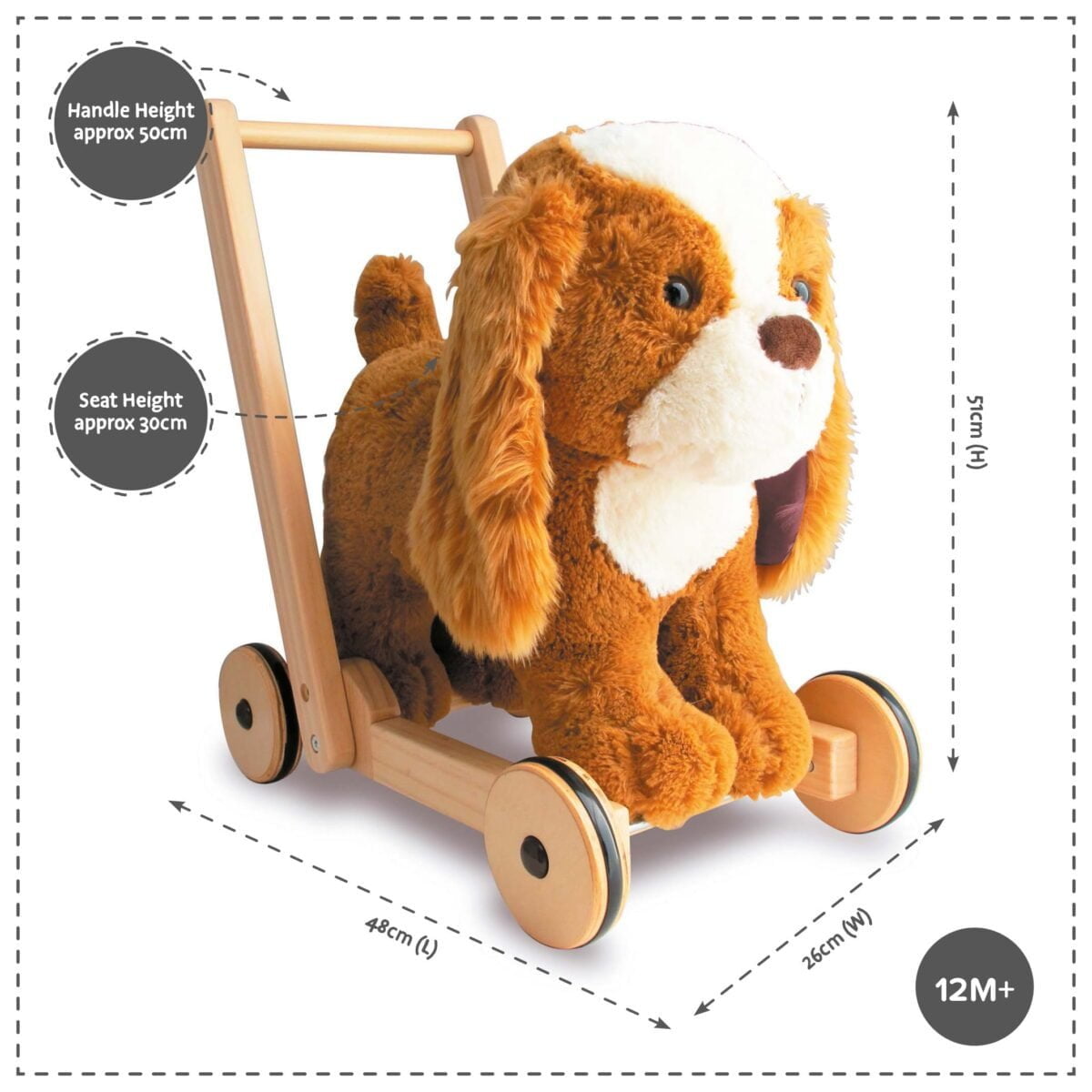 Product dimensions shown for Peanut Pup Baby walker 