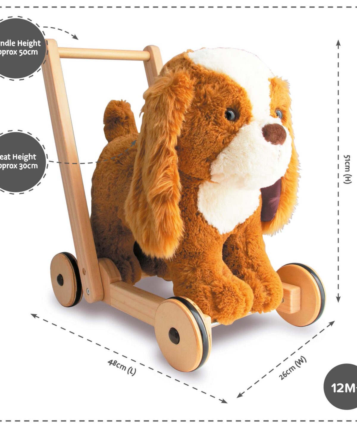 Product dimensions shown for Peanut Pup Baby walker 