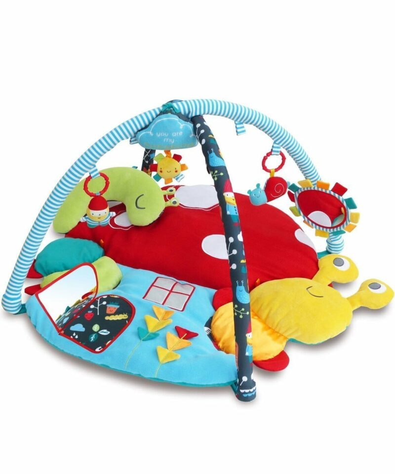My Little Sunshine Baby Play Gym and mat