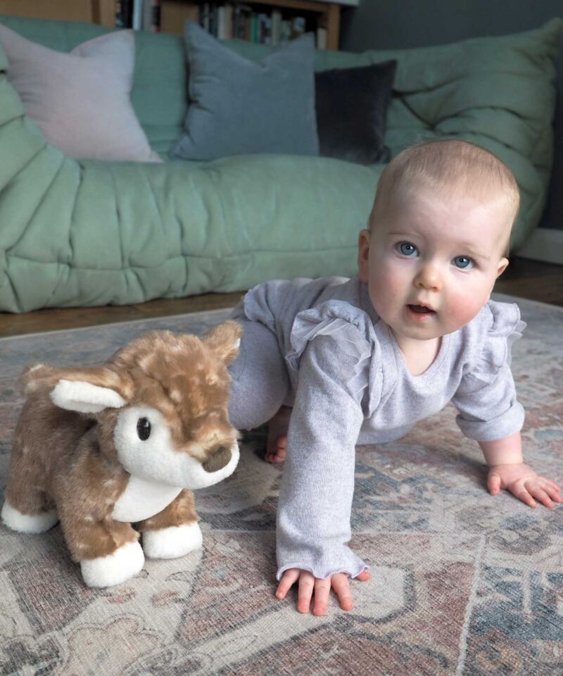 baby crawling with willow deer pull along toy 