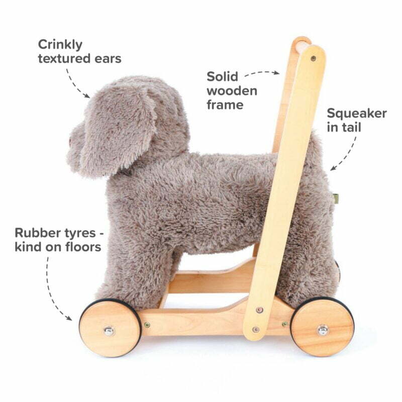 infographic image of bailey dog walker with features and benefits listed 