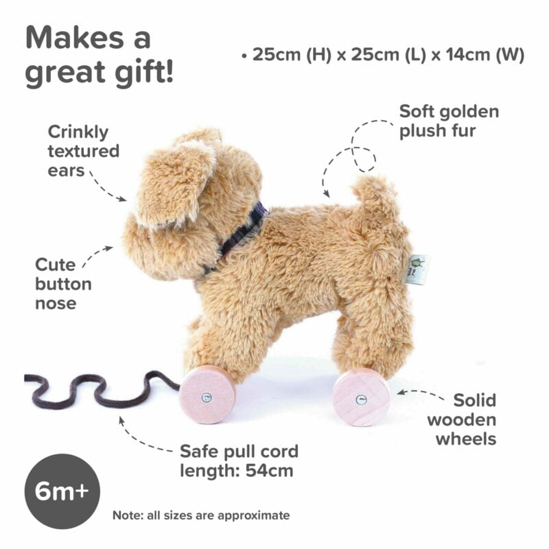 Infographic image for Dexter Labrador dog toy pull along toy 