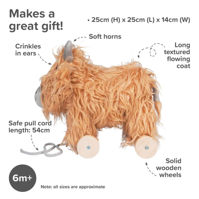 Infographic image of cute Hubert Highland Cow Pull Along