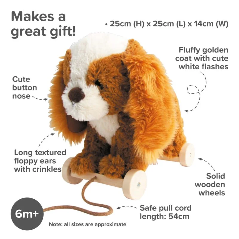 Infographic image of Peanut Pup Pull Along and huggable toy