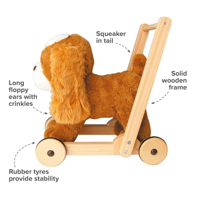 infographic images highlighting the features and benefits of peanut pup baby walker for babies