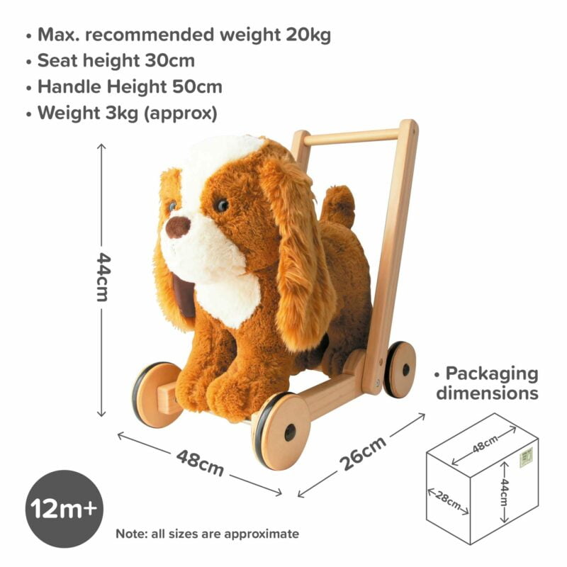 Infographic image of peanut pup first steps baby walker