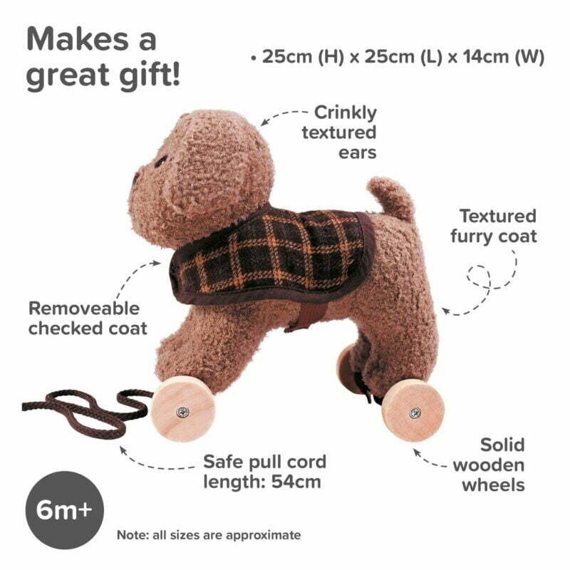 Infographic image of Percy pup dog pull along toy