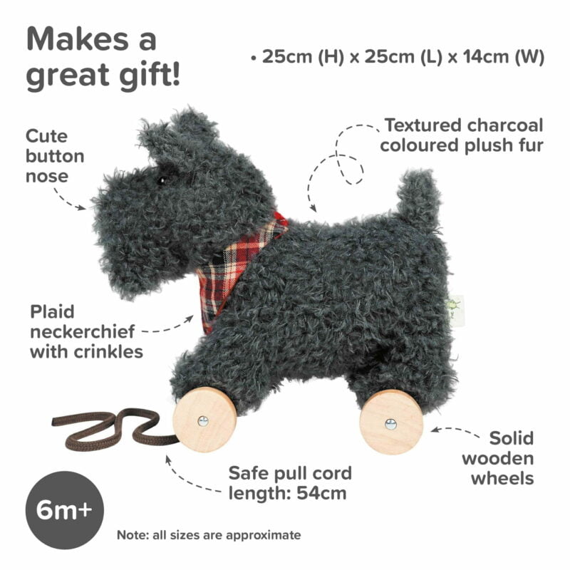 Infographic image of scottie dog pull along baby toy 