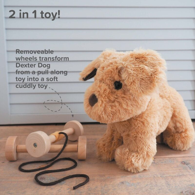 Labrador dog toy teddy features and benefits 