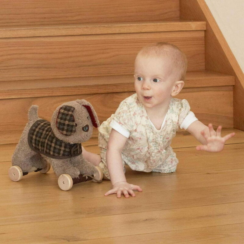 Baby crawling alongside Percy Pup Pull Along toy 