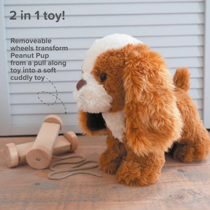 image showing the features and benefits of pull along King Charles Spaniel toy