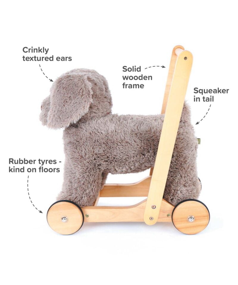 Infographic image of Bailey Dog Baby Walker showing features and benefits