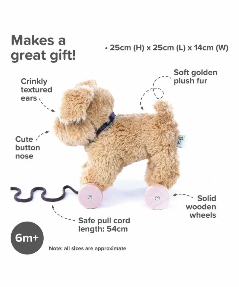Infographic image of Dexter Dog Pull Along Toy showing features and benefits