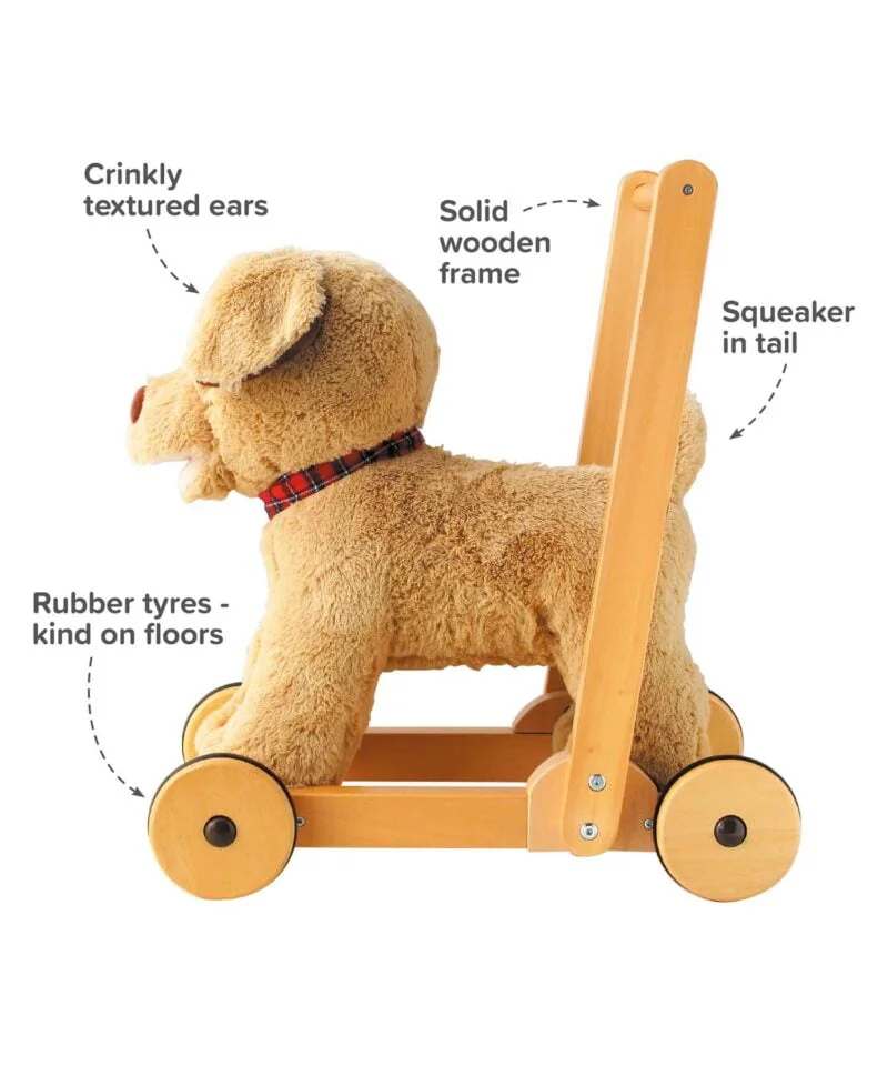 Infographic image of Dexter Dog Walker Baby showing features and benefits